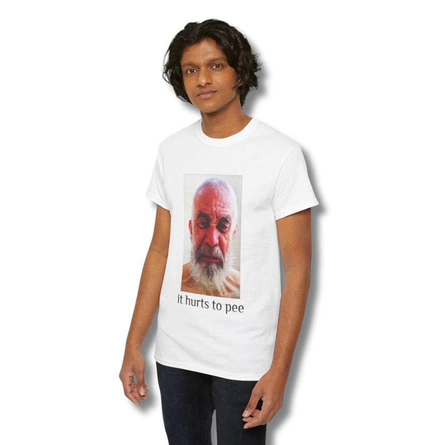 it hurts to pee tee